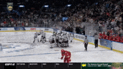 Ice Hockey Win GIF by TheDreamTeam 