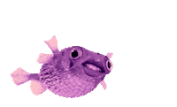 Hello Fish Sticker by SirFish