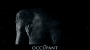 Sxsw Falling GIF by Signature Entertainment