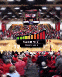 Youngstown State Penguins GIF