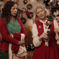 Merry Christmas Lol GIF by Lifetime