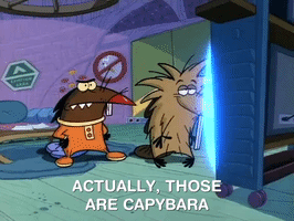 nickrewind nicksplat angry beavers GIF