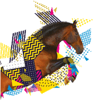 DepartementduCalvados calvados equidays moncalvados Sticker