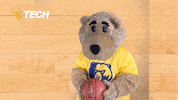 West Virginia Basketball GIF by WVU Tech Golden Bears