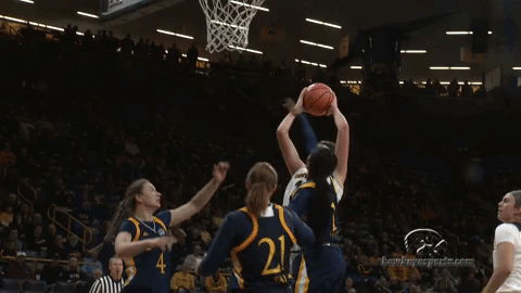 iowa hawkeyes GIF by University of Iowa Hawkeyes Athletics