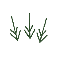 Arrow Boho Sticker by thefemaleexplorer
