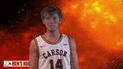 Arrow No GIF by Carson-Newman Athletics