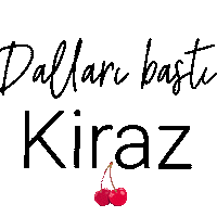 Mnks Memleket Sticker