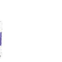 Workout Burn Sticker by BodyBoss Method