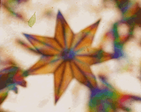 echo_echo_studio giphyupload rainbow star sun GIF