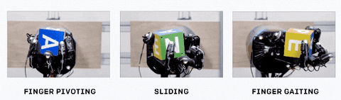 joerice-jones giphyupload GIF
