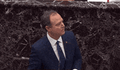 Adam Schiff Impeachment GIF