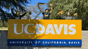 university of california fun GIF by UCDavis