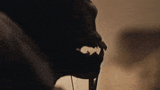 Attack Beast GIF by Crypt TV