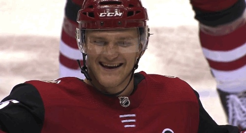 celebrate ice hockey GIF by NHL