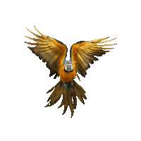 ConBiVe venezuela caracas guacamaya conbive Sticker