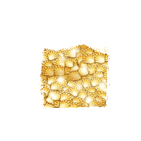 Surfing Sticker by True Surf