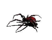 spider STICKER