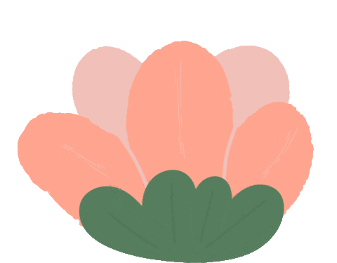 miorcy_anzh giphyupload flowers ordrwams miorcy Sticker