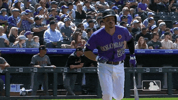 Regular Season Sport GIF by MLB