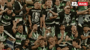 Sporting GIF by Betclic Portugal