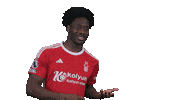 Football Sport Sticker by Nottingham Forest