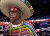 toprank fight fighting espn fighters GIF