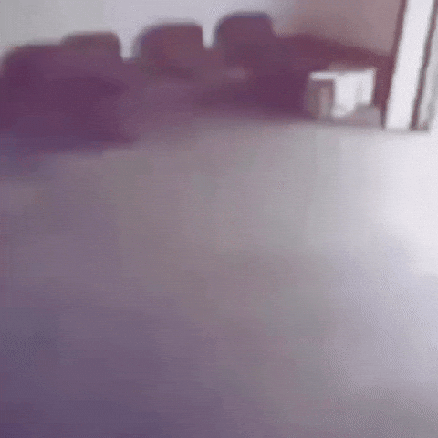 Security Camera GIF by Respective