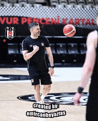 Beşiktaş GIF