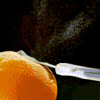 single malt whiskey GIF