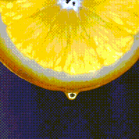 single malt whiskey GIF