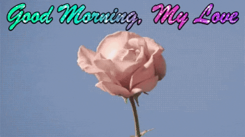 Good Morning My Love GIF by reactionseditor
