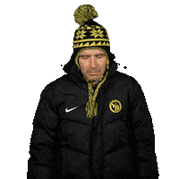 Football Freezing Sticker by Radio Gelb-Schwarz