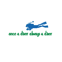 Open Water Bubbles Sticker by Blue Corner Dive Bali