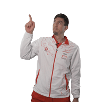 Davis Cup Tennis Sticker by Oesterreichischer Tennisverband