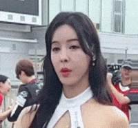 Model GIF