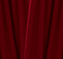 Big Brother Barrett GIF