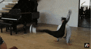 Twinmyheart Twins Veronicamerrell Vanessamerrell Merrelltwins Lol Funny Humor Laugh Rofl GIF by AwesomenessTV