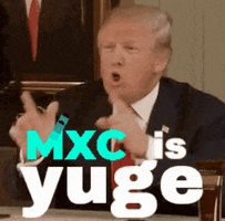 Trump Bitcoin GIF by MXC Foundation