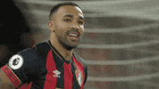 Football Soccer GIF by AFC Bournemouth