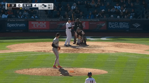 estee42 giphyupload GIF