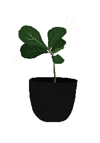 Fiddle Leaf Plant Sticker