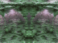 GIF by Leo Pyrata