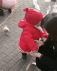 bird asian baby GIF by Danny Chang