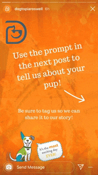 GIF by Dogtopia
