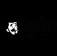 GraficaGIV marketing cartao de visita grafica online giv online GIF