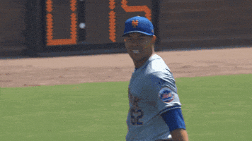 Celebrate Major League Baseball GIF by MLB