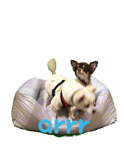 아르르 Sticker by arrr_official