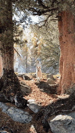 ehdgus1211 giphyupload GIF