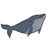 Animation Fish Sticker
